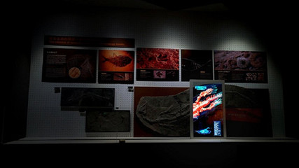 AR增強現(xiàn)實展項在展廳展館設計中的應用 數(shù)字文化創(chuàng)意內(nèi)容服務新紀元